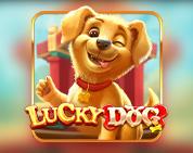 Lucky Dog Lucky Dog