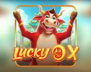 Lucky Ox Lucky Ox
